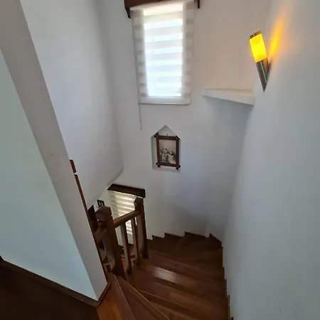 Dalos Φετιγιέ
