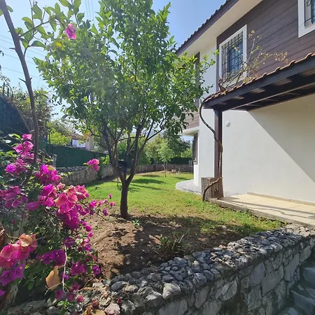 Dalos Villa