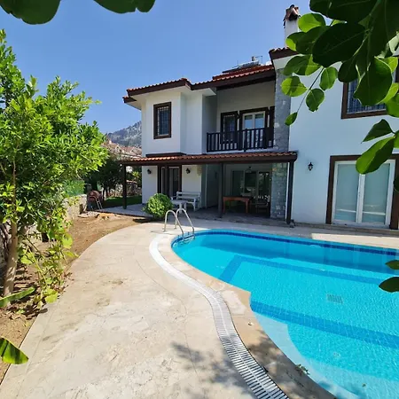Dalos Villa