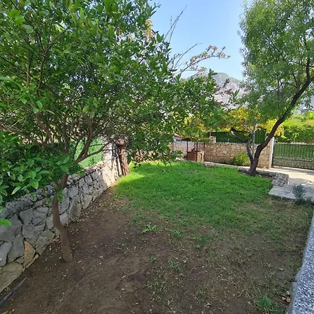 Dalos * Fethiye